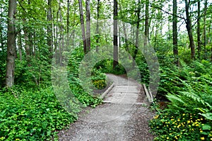 Pacific Spirit Park