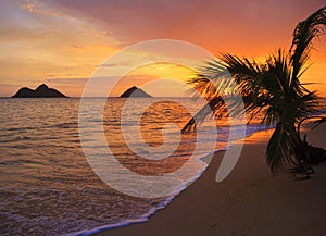 Pacific sunrise at Lanikai beach in Hawaii