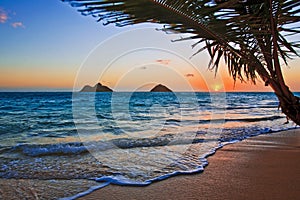 Pacific sunrise at Lanikai beach in Hawaii