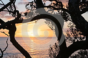 Pacific sunrise from Mount Maunganui.