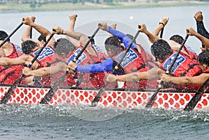 Pacific West Dragon Boat Race Paddlers