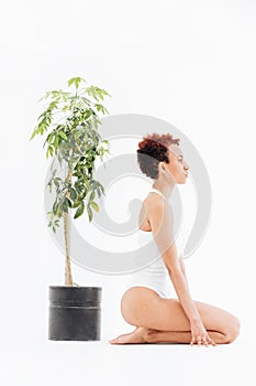 Pacified african american young woman near small tree in pot