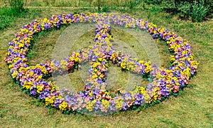 Pacifist sign made of colorful flowers