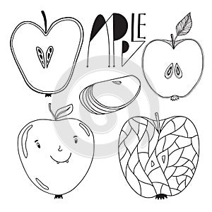 Pack of apple fruits. Outline illustrated apples . Coloring book page