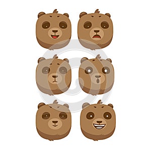 Pack of brown bear facial expressions