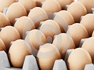 Pack of brown eggs with depth of field effect. 3D illustration