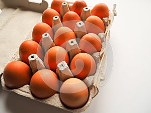 Pack of brown fresh raw chicken eggs in a white carton egg box on a white background close up