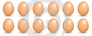 Pack of 12 brown hen eggs, vector illustration