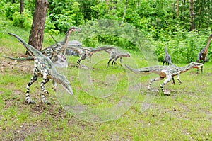 a pack of dinosaurs Coelophysis, models, reconstruction