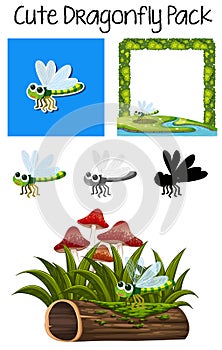 A pack of dragon fly