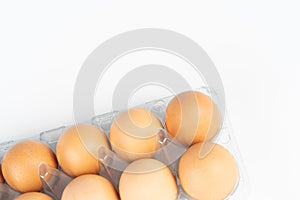 The pack of eggs in plastic packaging.