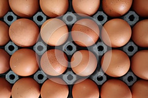 Pack of eggs in simetry photo