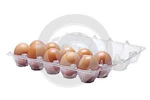 Pack of eggs on white background