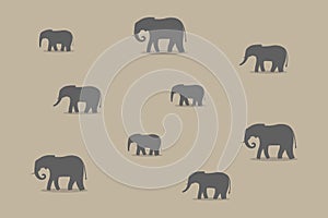 Pack of elephants walking in savannah vector illustration.