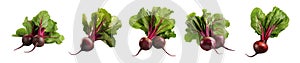 Pack of Fresh Red Beets on Transparent Background