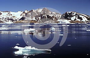 Pack ice Eastern Greenland photo