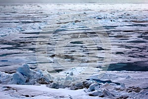 Pack ice near the North pole