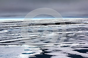 Pack ice near the North pole