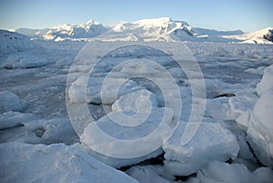 Pack ice in the Strait off the Antarctic Peninsula.