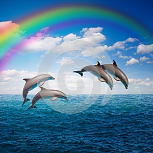 Pack of jumping dolphins