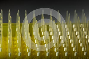 Pack of new tips for laboratory pipet