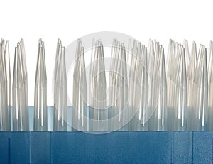 Pack of plastic dropper tips