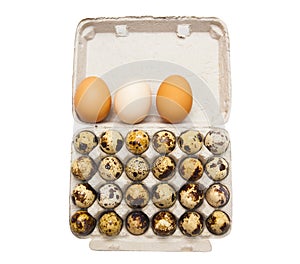 pack of quail and chicken eggs formwork isolated on white.