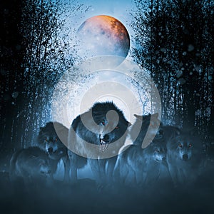 The pack of red moon