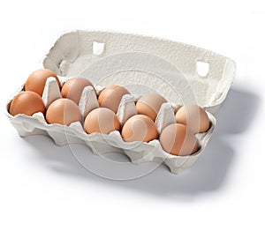 Pack of ten fresh eggs isolated