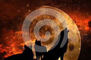 Pack of three wolves with universe and planet in sunset tonality