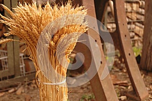 Pack of wheat