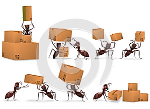 Package delivery mail order logistics