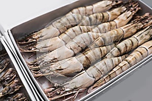 Package with fresh black tiger shrimps. Wholesale market