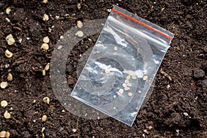 Package seed for planting seedlings. top view. farmer plant vegetables plants