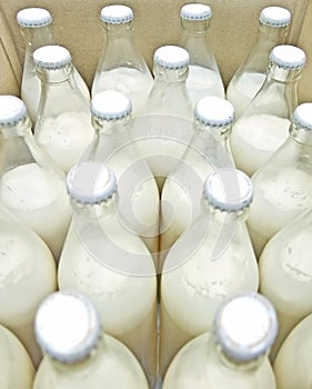 packaged fresh bottled milk 