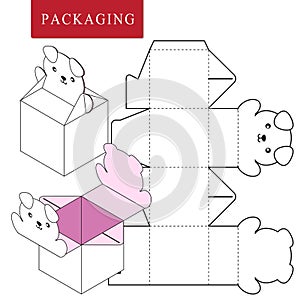 Packaging Design.Vector Illustration of Box.