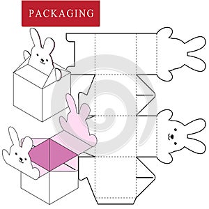 Packaging Design.Vector Illustration of Box.