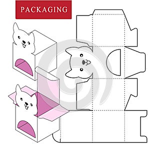 Packaging Design.Vector Illustration of Box.