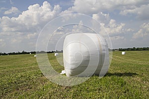 Packaging of freshly cut grass round shape on the field