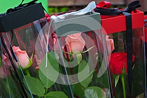 Packaging roses