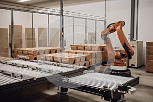 packaging and sorting robot, placing items into boxes for shipping