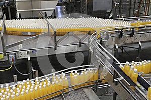 Packed bottles moving on conveyor belt