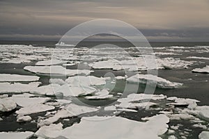 Packed ice in Arctic sea