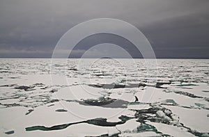 Packed ice in Arctic sea