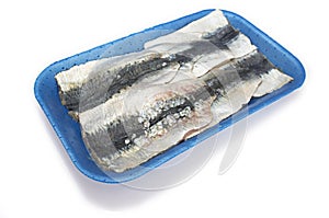 Packed tray of sardine filets from Northeast Atlantic, Spain
