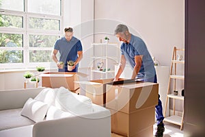 Packers And Movers At Home photo