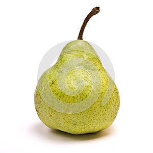 Packham Pear