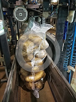 Packing bagged potatoes