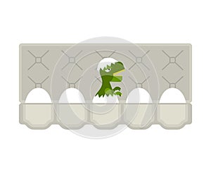 Packing eggs hatched dragon isolated. Vector illustration