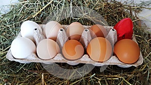 Packing eggs with one red egg. Eggs for Easter. Painted eggs. Red egg against white eggs